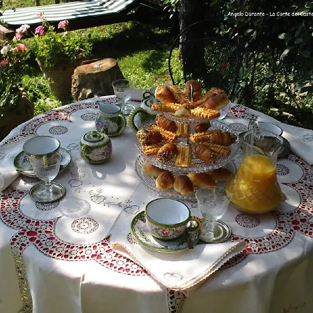 La Corte Del Castello Bed & Breakfast Orsara Bormida